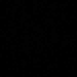 Meet your Posher, Maddie